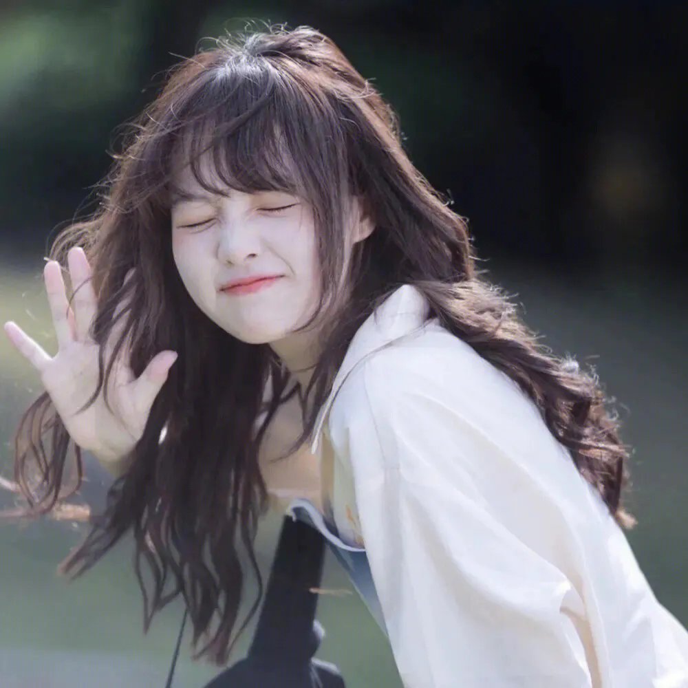 藏獒多吉